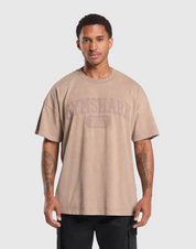 COLLEGIATE SHADOW WASHED T-SHIRT
