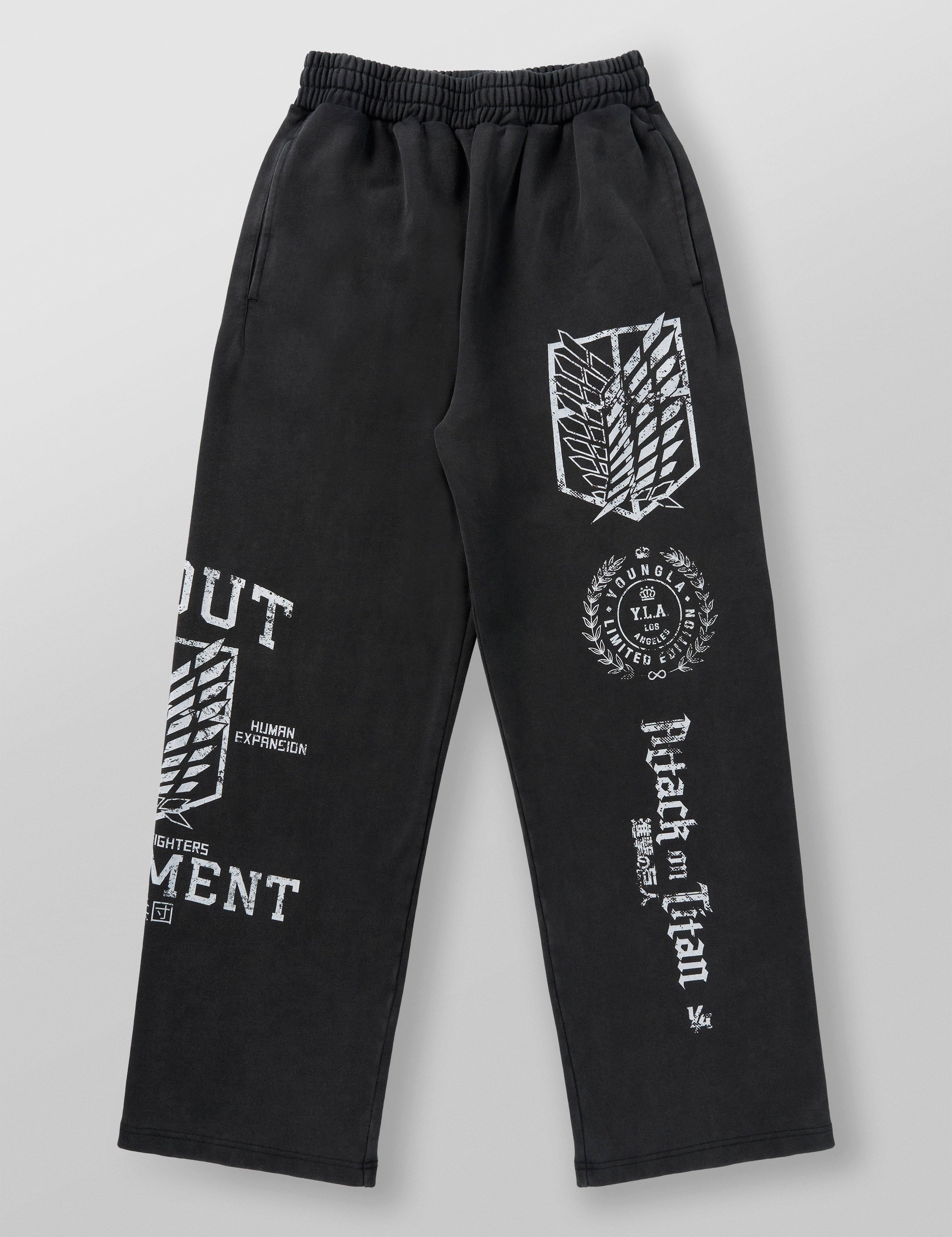 AOT© X YLA BAGGY JOGGERS PRE-ORDER