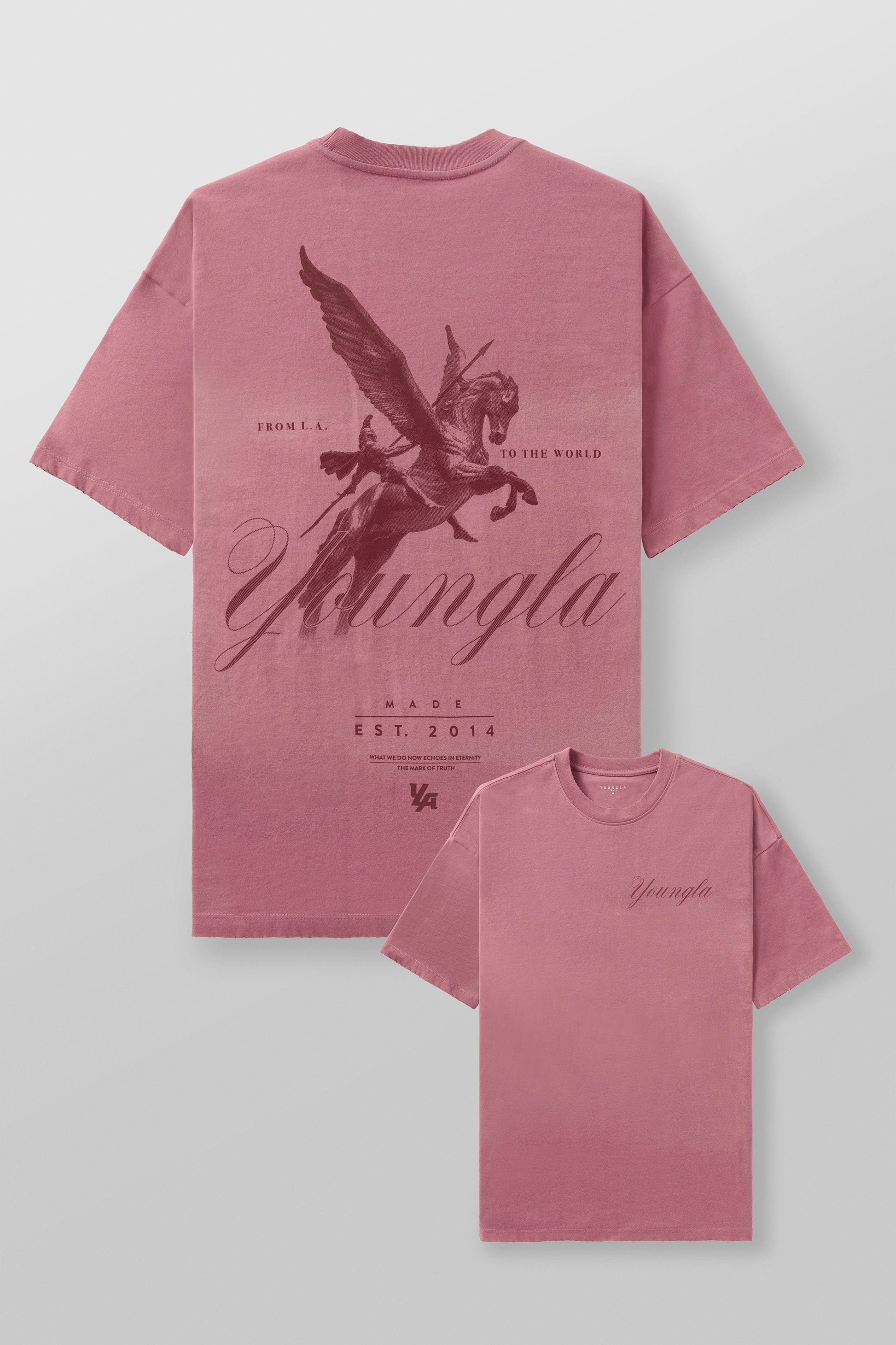 4118 - WARRIOR TEES PRE-ORDER