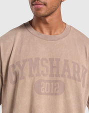 COLLEGIATE SHADOW WASHED T-SHIRT
