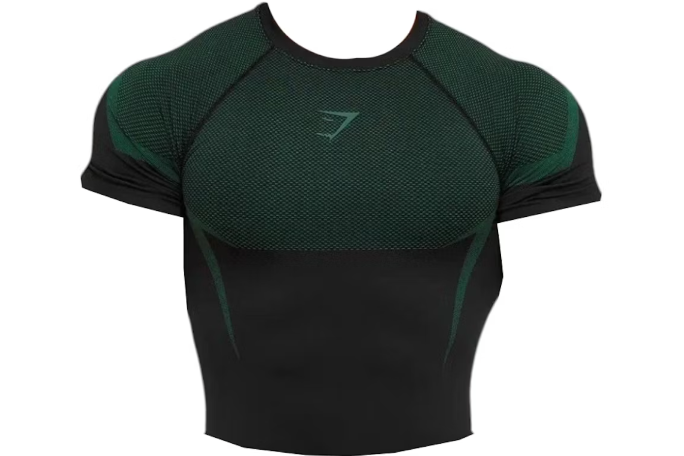 ONYX V5 SEAMLESS T-SHIRT