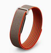 GOOGLE FITBIT AIR PRE-ORDER