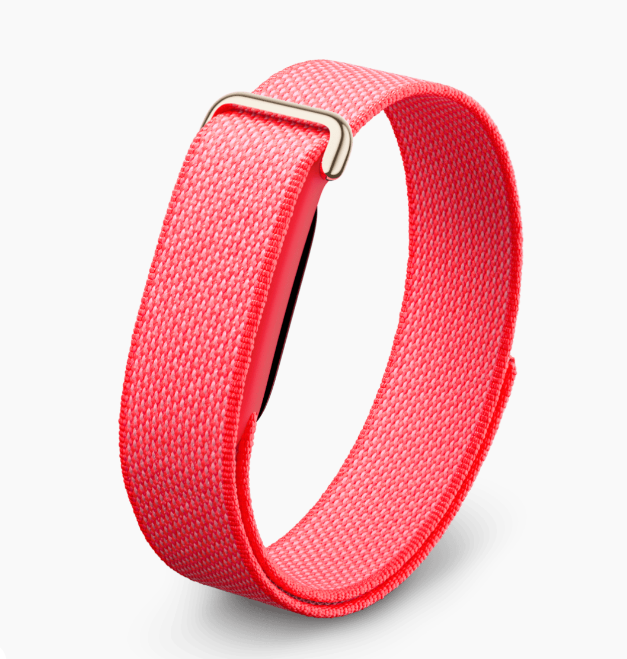GOOGLE FITBIT AIR PRE-ORDER
