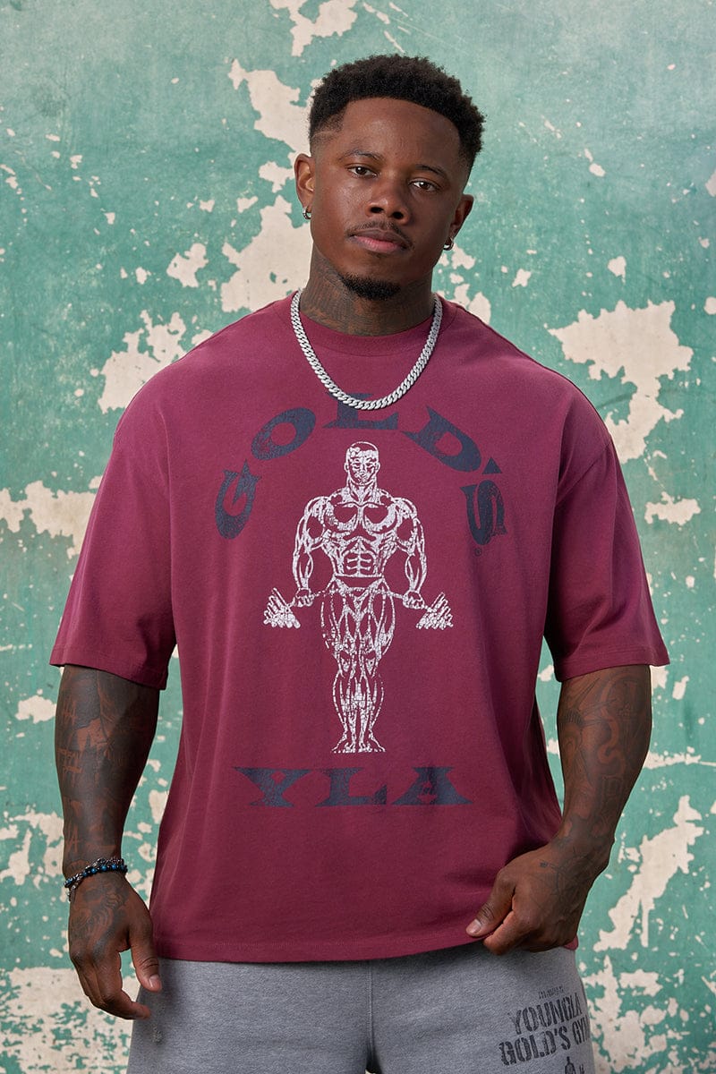 4213 - GOLD'S IRON LEGACY ICON TEES PRE-ORDER