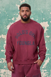 5166 - GOLD'S IRON LEGACY VINTAGE CREWNECKS PRE-ORDER