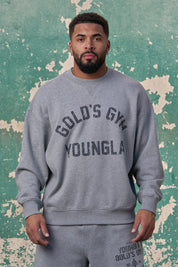 5166 - GOLD'S IRON LEGACY VINTAGE CREWNECKS PRE-ORDER