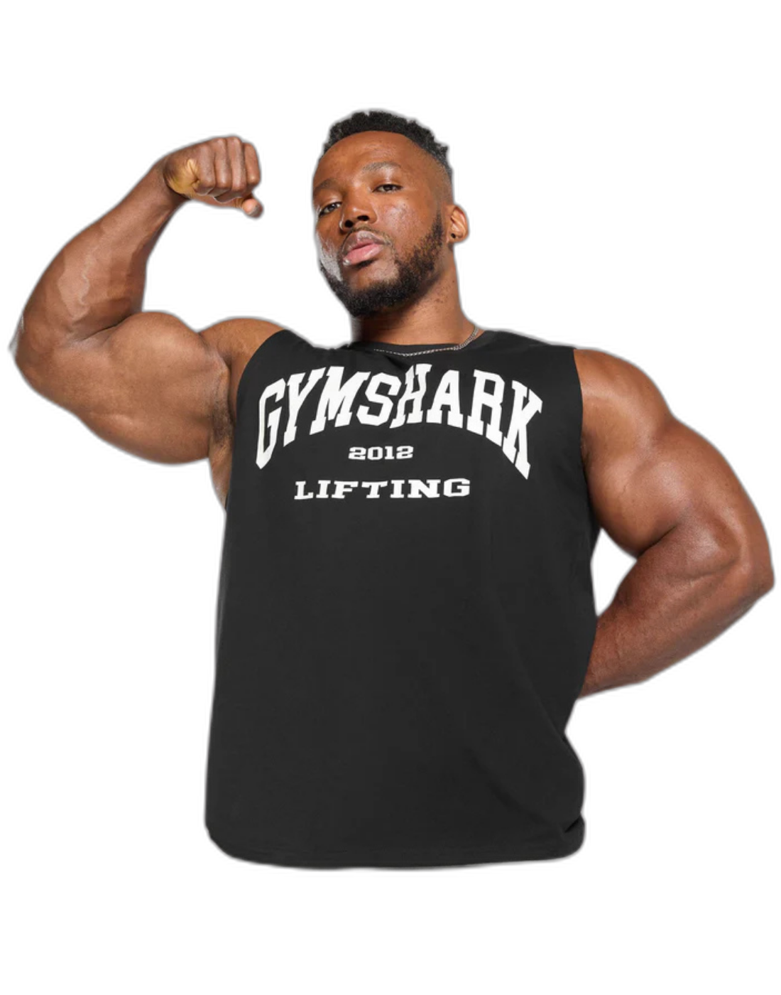 2012 LIFTING CUT-OFF TANK