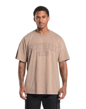 COLLEGIATE SHADOW WASHED T-SHIRT