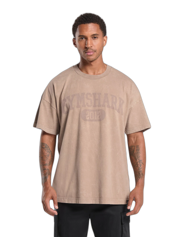 COLLEGIATE SHADOW WASHED T-SHIRT