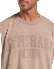 COLLEGIATE SHADOW WASHED T-SHIRT