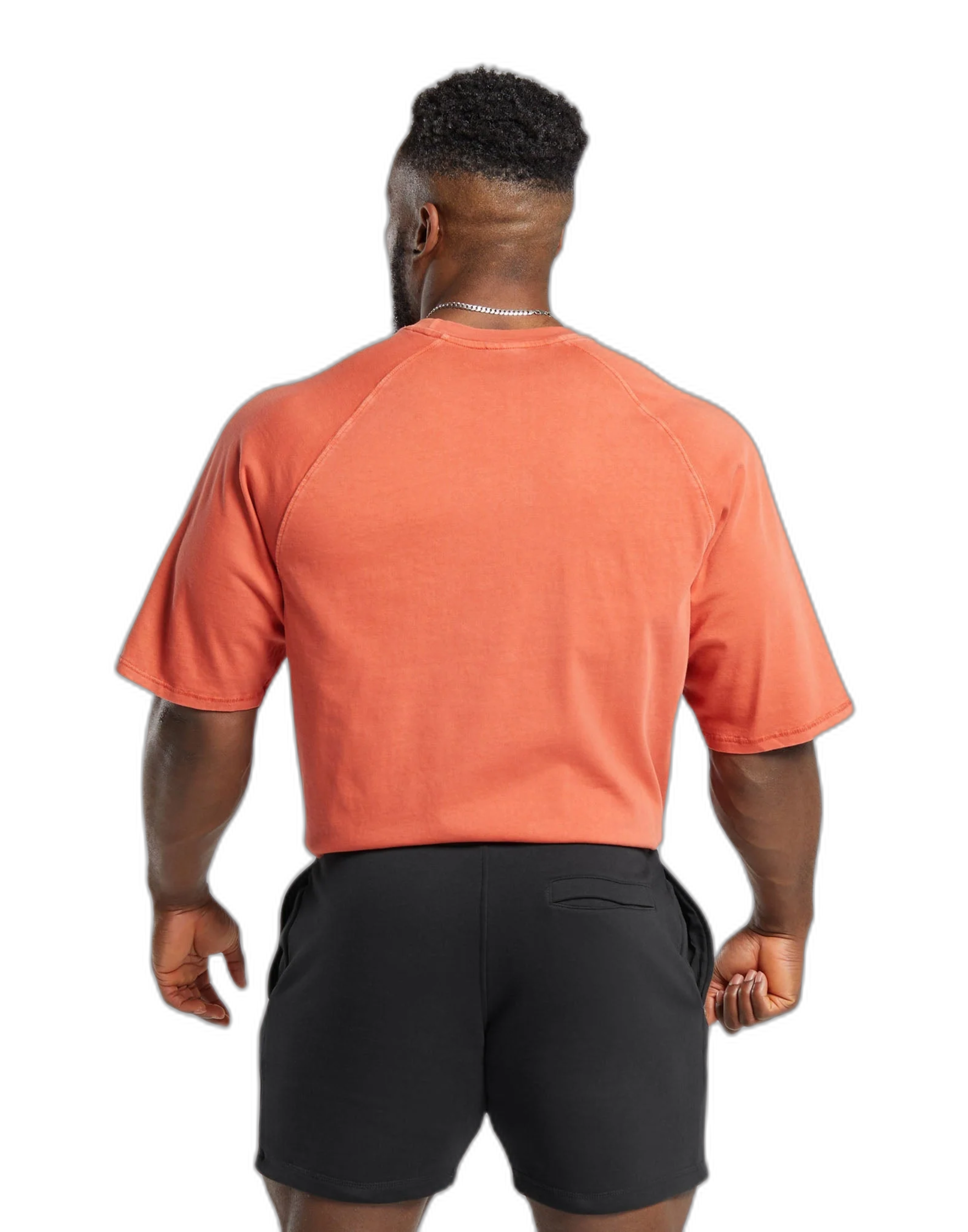 nobg_7250665013381_2.png